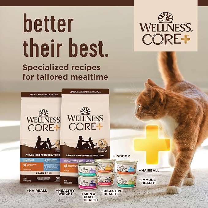 Wellness CORE+ Digestive Health Pate Variety Pack Adult Canned Wet Cat Food, Natural, Protein Rich, Grain Free, Chicken and Turkey Recipes, 3 oz, Pack of 12 Cans