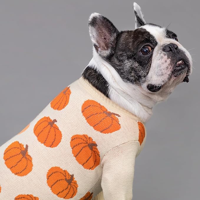 Fitwarm Pumpkin Dog Sweater, Thanksgiving Outfit for Small Dogs Boy Girl, Pet Outfit, Orange, Beige, Small