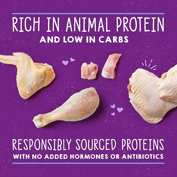 Stella & Chewy's Carnivore Cravings Savory Shreds - Wet Cat Food - High-Moisture Formula with Premium Cage-Free Chicken & Turkey - Perfect for Picky Eaters - 2.8 oz, 24 Count