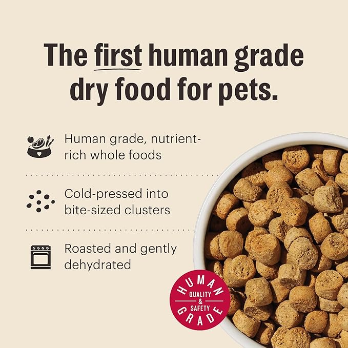 The Honest Kitchen Whole Food Clusters Puppy Grain Free Chicken Dry Dog Food, 4 lb Bag