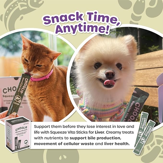 Choolip Squeeze Vita Stick Liver Support Lickable Cat and Dog Treats – 49-Count Salmon and Lobster Sticks with Milk Thistle, CoQ10 and Vitamin E – Box with 7 Pouches, Vet-Formulated