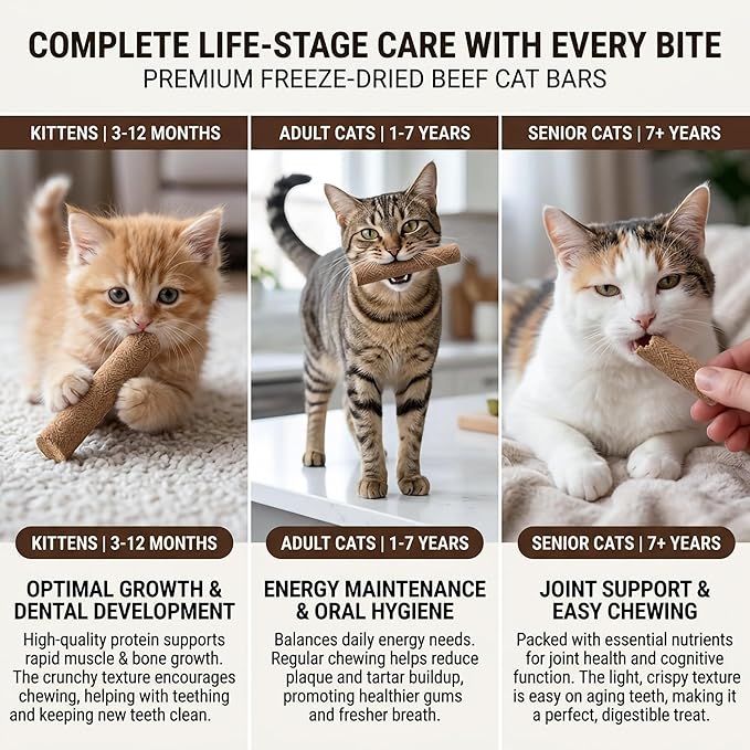 Cats Toy, 15PCS Grain-Free Beef Catnip Treats Freeze Dried Kitten Chew Sticks Edible Snack Food for Cleaning Teeth Training Kitty Chew Toys for Indoor Cats