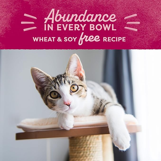 Natural Balance Original Ultra Dry Cat Food, Chicken Meal & Salmon Meal Recipe, Whole Body Health for Kittens to Adult Cats, 6 lb. (Pack of 1)