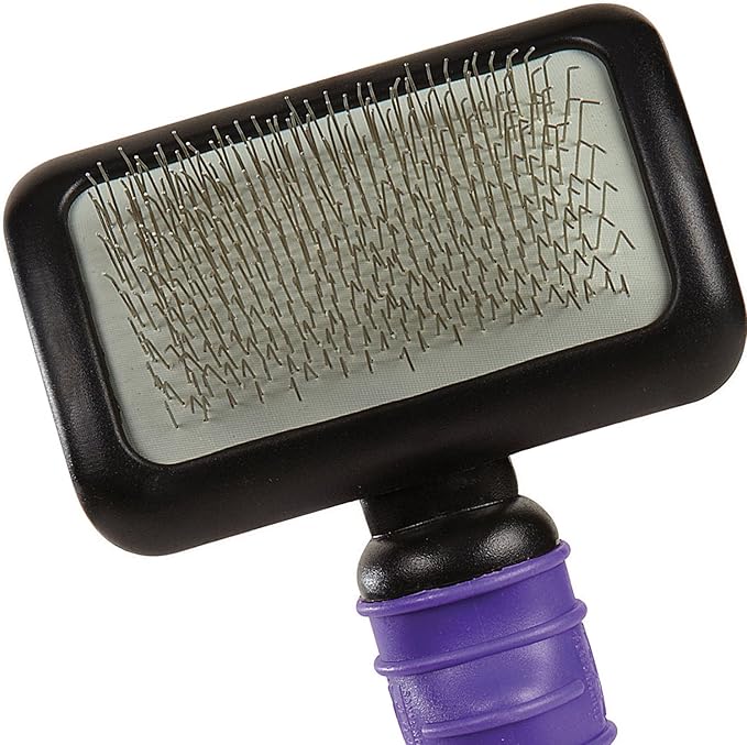 Master Grooming Tools Ergonomic Slicker Brushes — Durable, Lightweight Brushes for Grooming Dogs and Cats - Medium, Purple