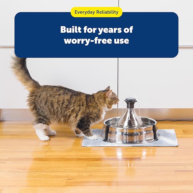 PetSafe Drinkwell Replacement Carbon Filters, Dog and Cat 360 Water Fountain Filters