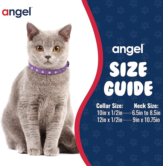 Studded Cat Collar, Genuine Leather Kitten Collar, Sturdy Breakaway Cat Collar with Bell and Elastic Stretch,Cat Accessories, Orchid Purple, 12 x 1/2 inches - Angel Pet Supplies