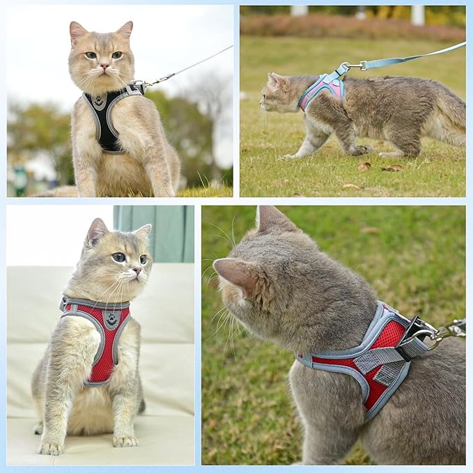 SCENEREAL Cat Harness and Leash Set Escape Proof, Adjustable Soft Air Mesh Kitten Harnesses for Girls Boys Small Medium Big Cats, Reflective Light Travel Pet Walking Vest for Puppy Rabbit, Pink XL