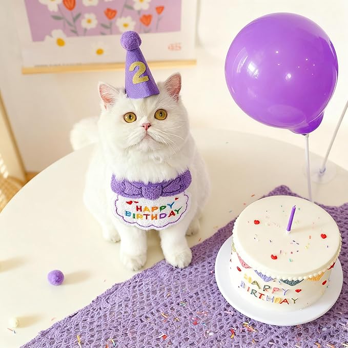 Reusable Cat Birthday Decorations Set - Adjustable Cat Birthday Hat & Bandana with Age Numbers | Kitty Celebration Kit for Memorable Milestones（Purple）