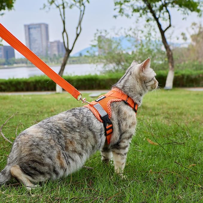 Cat Harness and Leash Escape Proof Small Kitten Harness Abyssinian Cat Vest for Walking Travel, Orange, S