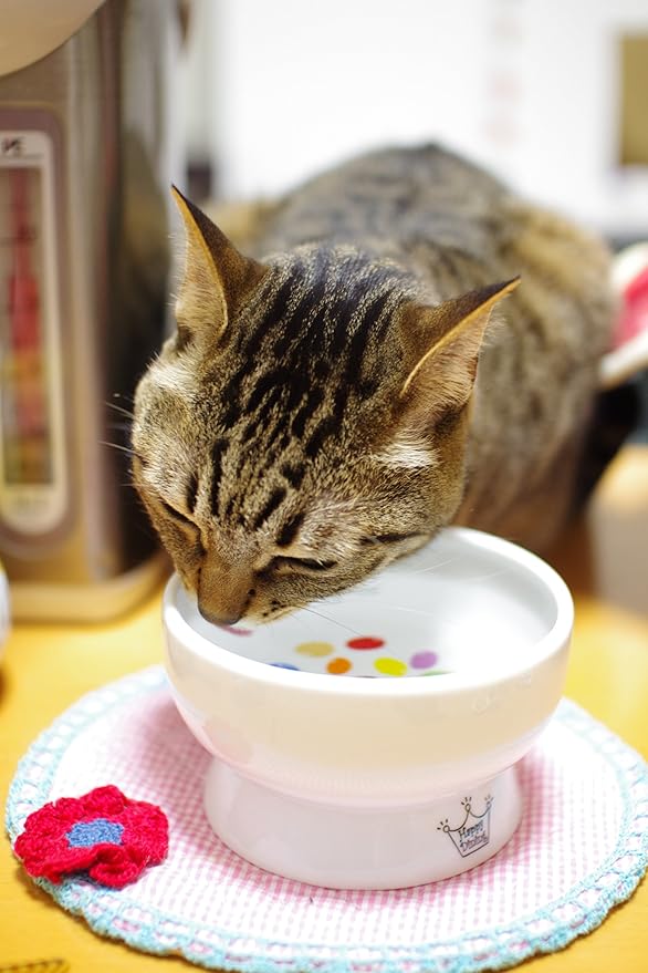 Necoichi Elevated Cat Water Bowl – Ceramic Raised Cat Bowl, Prevents Neck & Whisker Fatigue – Dishwasher & Microwave Safe – Pet Water Bowl for Cats (Jelly Bean, Regular)