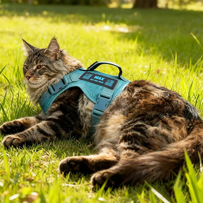 Custom Blue Tactical Cat Harness and Leash Escape Proof Adjustable Vest with Reflective Strips and Personalized Patch Soft Breathable Outdoor Gear for Walking Training Fits Cats 7-12 lbs