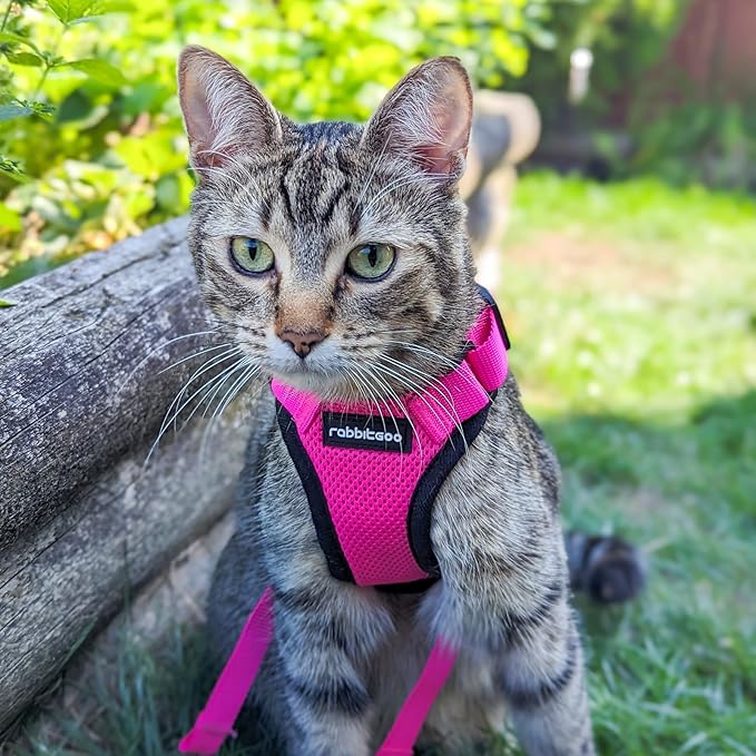 rabbitgoo Cat Harness and Leash for Walking, Escape Proof Soft Adjustable Vest Harnesses for Cats, Easy Control Breathable Reflective Strips Jacket, Rose Red, XXS