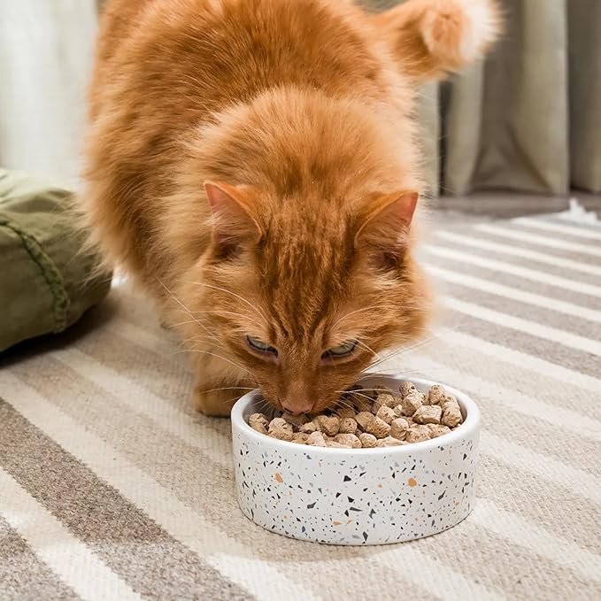 Open Farm, Freeze Dried Raw Cat Food, Complete Meal Morsels or Cat Treats with 92% Meat, Organs & Bone, Wild-Caught Salmon & Cod Recipe, 9oz Bag