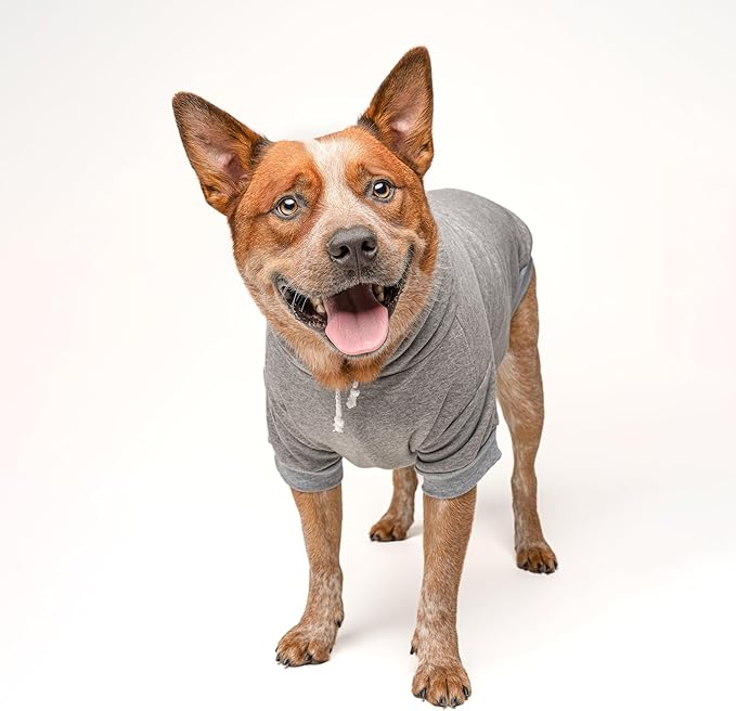 Happy Camping Dog Hoodie | Fleece Lined |Leash Hole| Summer | Outdoors | Travel | Hike|Grey, 3X-Large 278