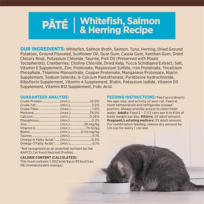 Wellness CORE Pate Adult Canned Wet Cat Food, Natural, Protein Rich, Grain Free, Whitefish, Salmon, and Herring Recipe, 3 oz, Pack of 12 Cans