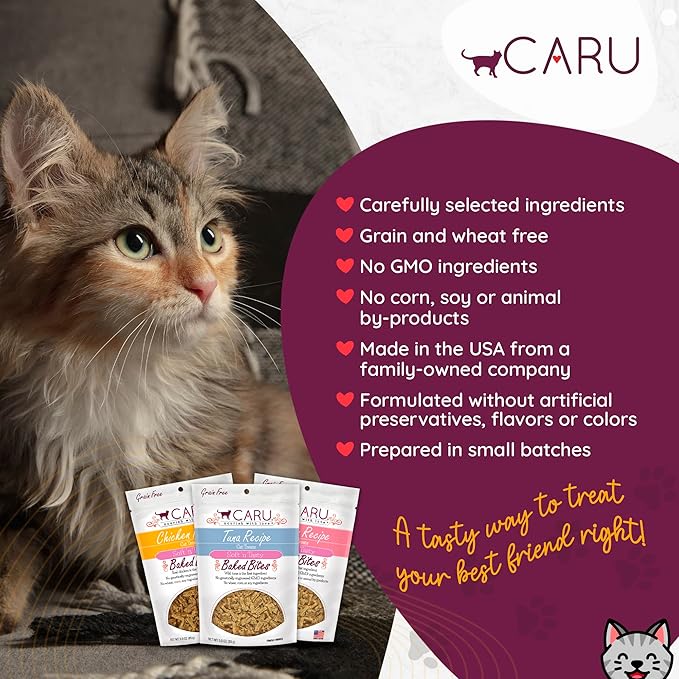 Caru - Soft ‘n Tasty Baked Bites - Chicken Bites Cat Treats - Flavorful All-Natural Treats - 3 oz. (Pack of 2)