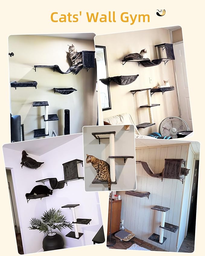 Aechonow Heavy Duty Cat Wall Shelves for Indoor Cats Large Adult, 17'' Large Hammock and Perch Bed for Wall, 5-in-1 Wall-Mounted Cat Climbing Set for Multi-Room Use