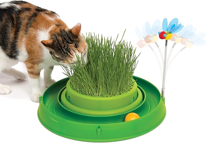 Catit Play Circuit Ball Cat Toy with Scratch Pad Catnip Toy, Green, 43002