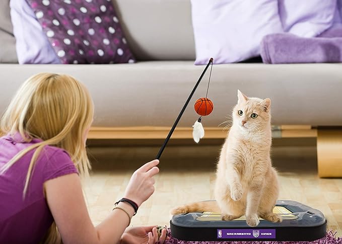 Pets First Sacramento Kings Basketball Cat Scratcher Toy,14 x 11"
