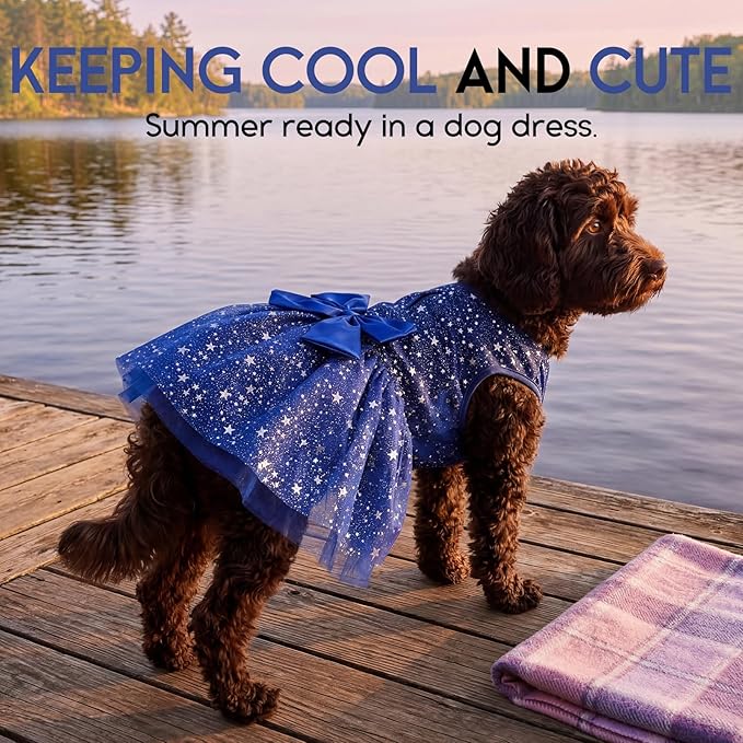 ASENKU Dog Dress Pet Wedding Dress Princess Lace Puppy Birthday Party Outfit Formal Apparel Girl for Small Medium Dogs Cats (2XL, Navy Star)