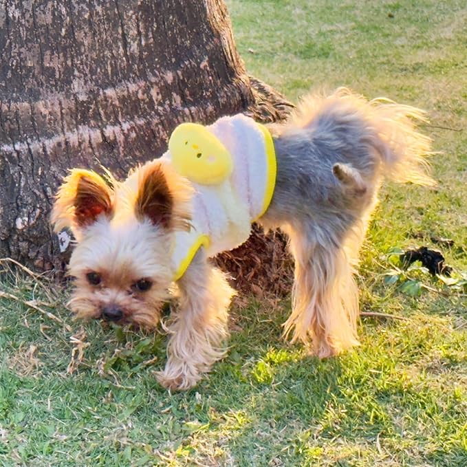 4-Piece Tiny Pet Clothes, Candy Colored Plush Sweater Shirts for Newborn/Teacup Cats & Dogs (e.g., Chihuahuas, Yorkies), Bunnies, and Other Small Animals (Gradient, XXS (1.5-3 lbs))
