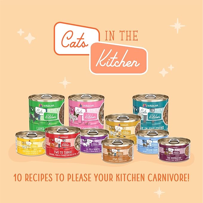 Weruva Cats in The Kitchen, Lamb Burger-ini Wet Cat Food, 10oz Can (Pack of 12)