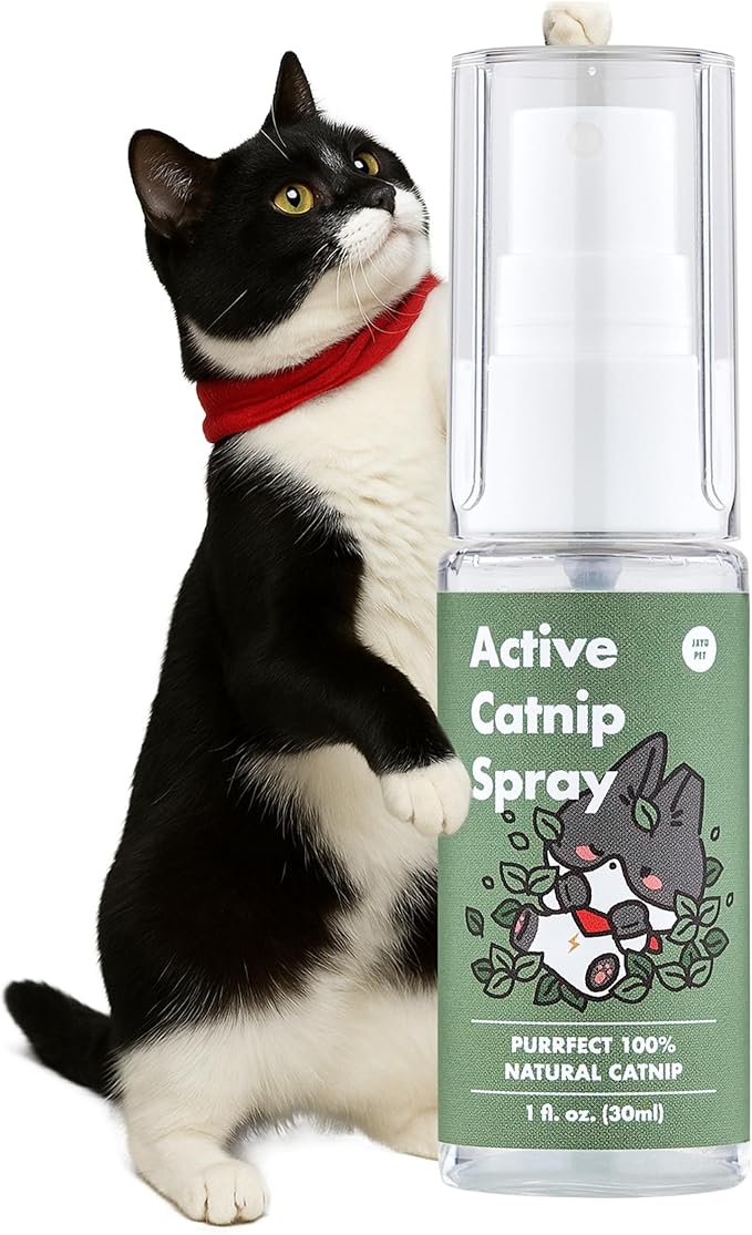 JAYU PET Active Catnip Spray - High Potency Transparent Liquid Spray Made of Fresh Organic Catnip for Indoor Cats and Kittens, Relieves Stress, Calming, Revives Toys (1fl oz) (Catnip Spray, 1fl oz)