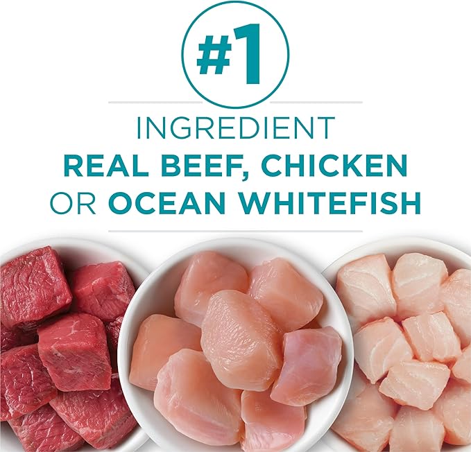 Purina ONE Grain Free, Natural Pate Wet Cat Food Variety Pack, Beef, Chicken and Ocean Whitefish Recipes - (2 Packs of 12) 3 oz. Pull-Top Cans