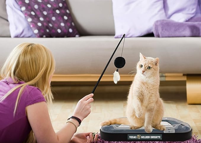Pets First 5-in-1 NHL Las Vegas Golden Knights Hockey Field Cat Scratcher Toy with Interactive Cat Ball Bell in Tracks