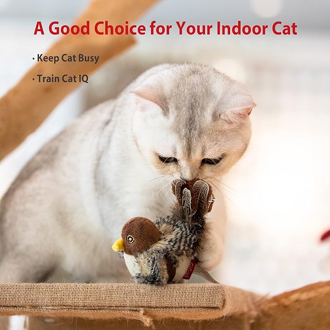 Gigwi Chirping Bird Cat Toy Set, Interactive Chasing Toy for Indoor Cat, Motion Activated Kitten Play Toys, Squeaky Cats Animal Feather Toy for All Breeds Cats Kicker
