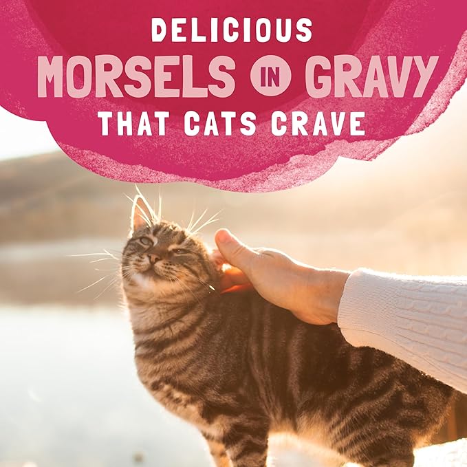 Natural Balance Original Ultra Platefulls Indoor Adult Grain Free Wet Cat Food, Salmon, Tune, Chicken & Shrimp Recipe, 3 Ounce Pouch (Pack of 24)