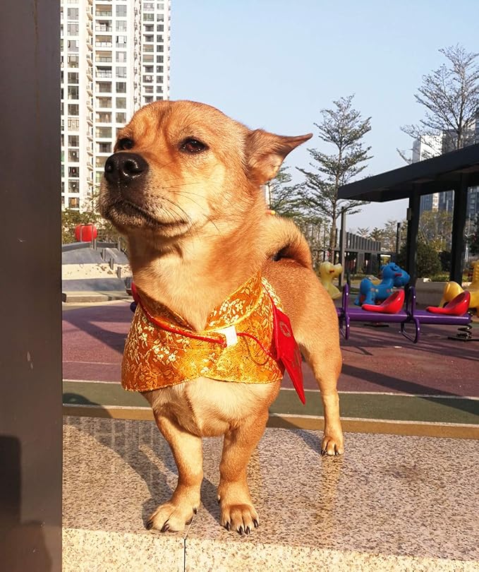 Cat Clothes,New Year's Cloak Dog Clothes Red Pet Cheongsam Cloak Clothes for Cats Small Dogs Puppy(Gold,L)