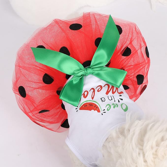 Small Dog Dress for Girl Watermelon Polka Dots Mesh Outfit, Summer Fall Tutu Dresses Cat Apparel, Cute Pet Puppy Clothing Doggie Outfits (X-Small, Watermelon Red)