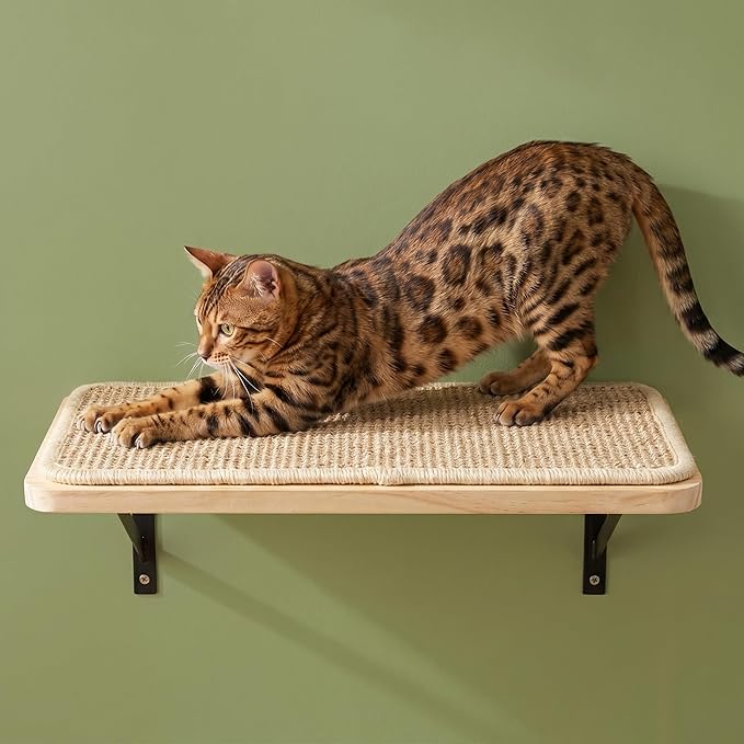 Cat Floating Wall Shelf with Scratching Mat, 1PC 9.7X16.6 Inch Large 1 Inch Thick Wood Cat Window Perches Hanging Shelves Wall Mounted Beds for Sleeping, Playing, Climbing, Support to 30 LBS