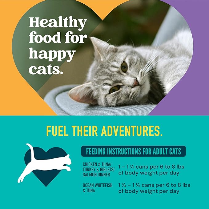 A Strong Heart Wet Cat Food Variety Pack, 4 Flavor Chicken & Seafood Patés & Shreds in Gravy Recipes, Made with Real Chicken & Fish, Made in The USA, 5.5oz Can (40 Count)