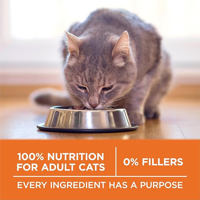 Purina ONE High Protein, Healthy Plus Ideal With Chicken Dry Cat Food Control Formula - 7 lb. Bag