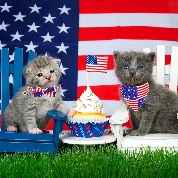 ADOGGYGO American Flag Cat Collar with Removable Bowtie Bandana, Breakaway Patriotic Kitten Collars for Cat Kitten (4th of July)