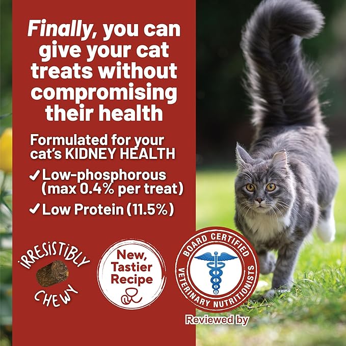 Dave's Pet Food Renal Cat Treats for Cat Kidney Support, (NEW Recipe!) Semi-Moist Healthy Treats with Kidney Support for Cats, Made in USA (2 Pack)