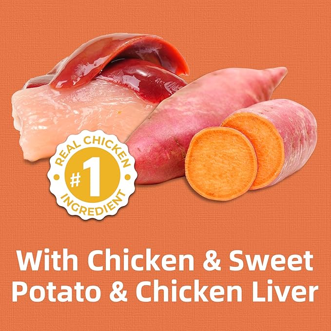 Just Try 16 OZ Skin & Coat Support Cat Treats - Cat Omega 3 Oil Salmon Oil Snacks - Supports Healthy Skin, Cat Itchy Skin Relief - Chicken Flavor