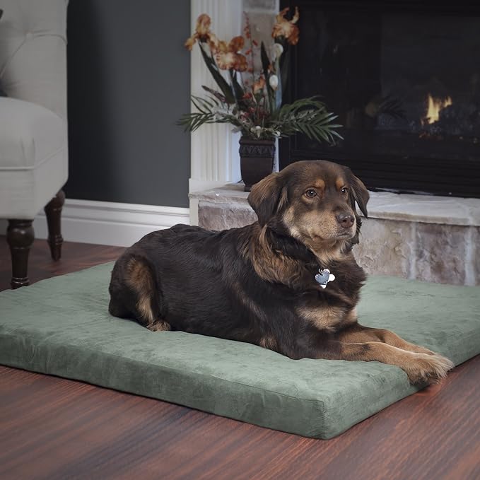 PETMAKER Dog Bed with Removable Cover – 25.5x19 Pet Bed - 3-Inch Egg Crate Style Foam Orthopedic Dog Mattress, Microsuede, Non-Slip Crate Mattress (Forest)