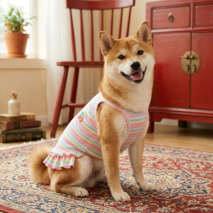 Jmkcoz Cute Striped Dog T Shirts Cherry Puppy Dress Soft Cotton Pet Sleeveless Vest Clothes Spring Summer Pet Outfits for Small Dogs Cats Girl (Pink, XX-Large)