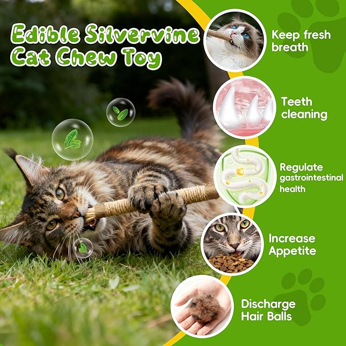 GBSYU Silvervine Sticks for Cats & Cat Chew Rope Toy with Refillable Natural Catnip Bag for Teeth Cleaning, Interactive Cat Catnip Toys for Indoor Cats, Kitten Teething Toys for All Breeds (4Pcs)