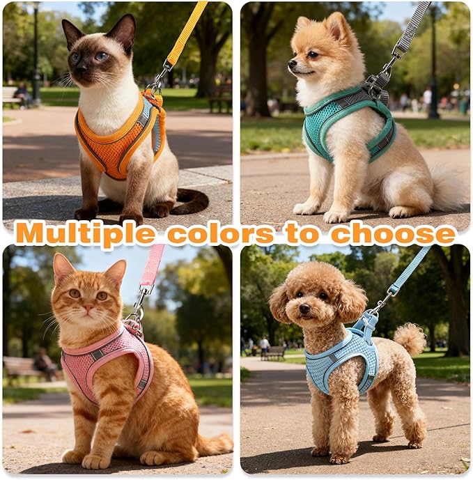 Cat Harness and Leash Set - Adjustable Soft Vest, Reflective Step-in Design for Safe Walking (Blue)