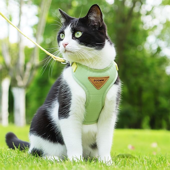 Escape-Proof Cat Harness and Leash Set - Adjustable and Comfortable - Ideal for Walking Cat Outdoors - Fits Small Dogs, Kittens, Medium, and Large Cats (Green, M)