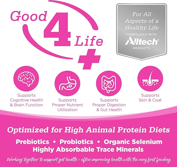 NutriSource Element Series Scenic Meadow Dry Cat Food, Turkey, Duck & Rabbit, 11LB