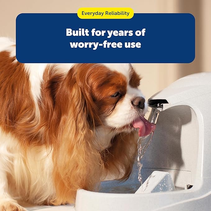 PetSafe Drinkwell Premium Replacement Carbon Filters, Dog and Cat Water Fountain Filters