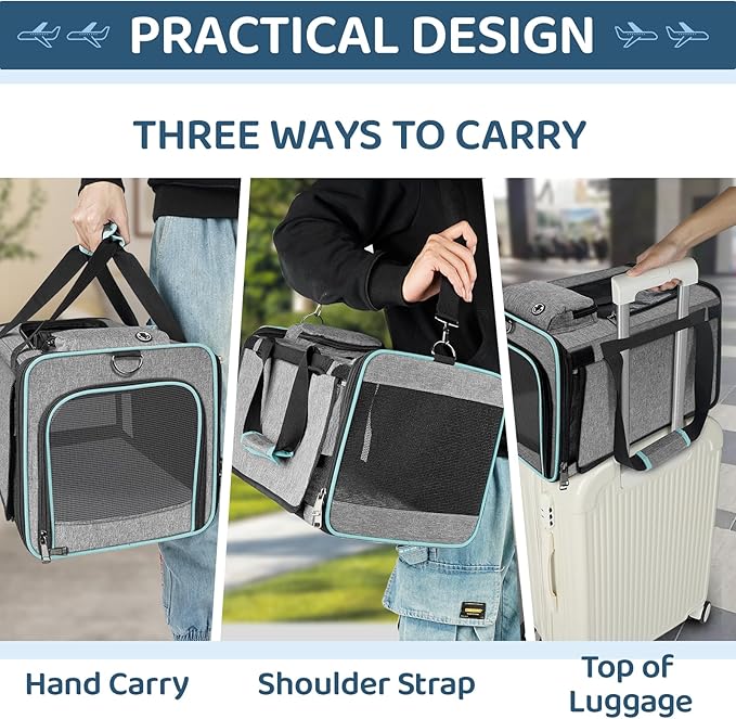 GAPZER Soft-Sided Pet Carrier for Air Travel 18x11x11 Inch - Underseat Cabin Carry Bag for Small Cats & Dogs Under 15 lbs