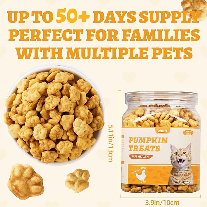Wellix Cat Treats Pumpkin&Chicken & Pumpkin Raw Treat