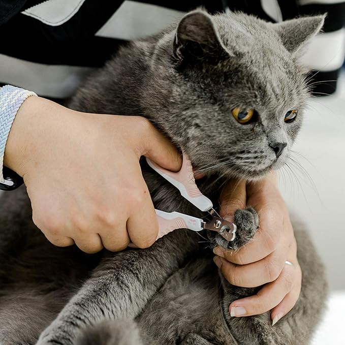 Mr. Pen- Cat Nail Clipper, Stainless Steel, Professional Sharp Cat Claw Trimmer for Small and Medium Cats, Pet Nail Clipper with Sturdy Non Slip Handle