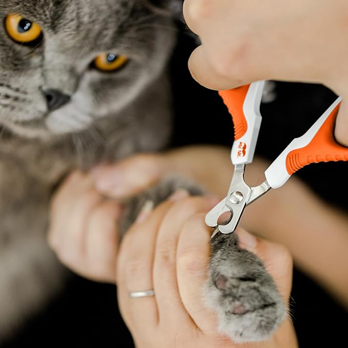 Mr. Pen- Cat Nail Clipper, Stainless Steel, Professional Sharp Cat Claw Trimmer for Small and Medium Cats, Pet Nail Clipper with Sturdy Non Slip Handle